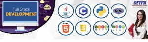 Full stack developer