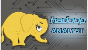 HADOOP ANALYST Course