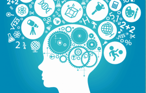 It Course /Ai
