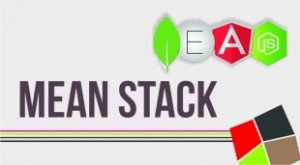 Mean Stack Course