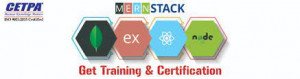 Mern Stack Course