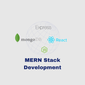 MERN Stack Development Course