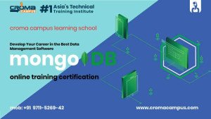 MongoDB Course
