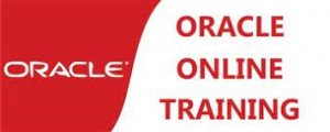 ORACLE TRAINING​ PROGRAM Course