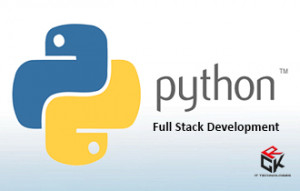 phython full stack development