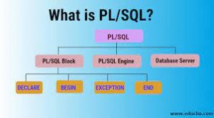 PLSQL Course