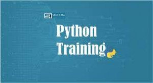 Python Machine Learning Training