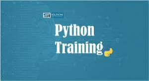 Python & Machine learning Training Course