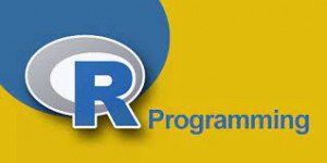 R Programming Training Course
