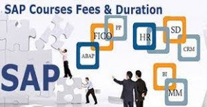 SAP Course