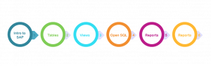 SAP FICO Course