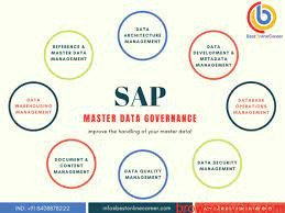 SAP Master Data Governance Course