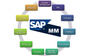 SAP MM Course | SAP MM Training Institute in Lucknow