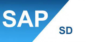 SAP SD Course