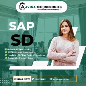 Sap SD  Training in Hyderabad , Chennai, Bangalore,Mumbai and  India       SAP SD Training in Hyderabad | SAP SD Course  in Hyderabad