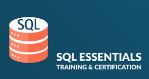 SQL Course