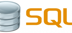 SQL & PL/SQL Course