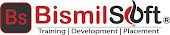 Bismilsoft Pvt. Ltd