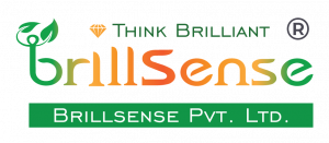 Brillsence Pvt. Ltd.