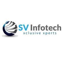 SV Infotech