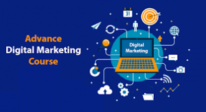 Advance Digital Marketing Course