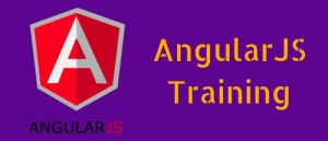 Angular JS Course
