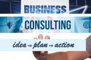 Business Consulting Services