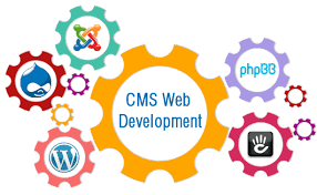 CMS DEVELOPMENT
