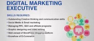 DIGITAL MARKETINGEXECUTIVE PROGRAM