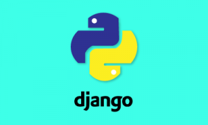 Django Training