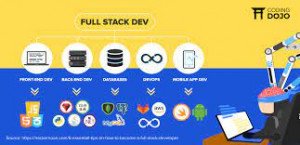 Full Stack Developer