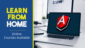 Full Stack Developer – Angularjs Training