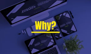 Full Stack Development Course