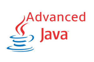 Full Stack Java Developer