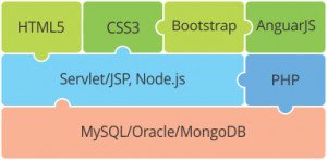 Full Stack Php Developer