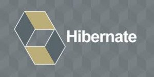 HIBERNATE TRAINING COURSE