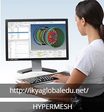 Hypermesh Training
