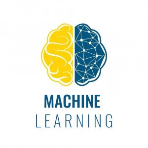 Machine Learning AI