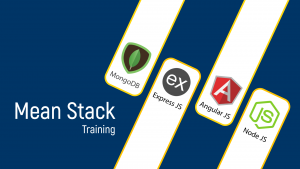 Mean Stack Training