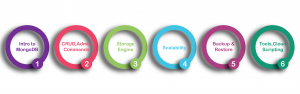 MongoDB Development Training