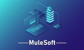 Mule ESB Course