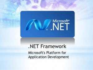 Net Full Stack Developer