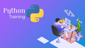 Python Course Training