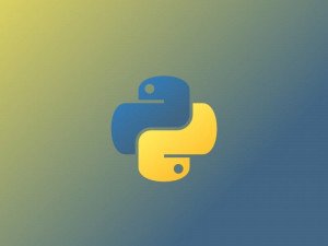 Python Django / ML