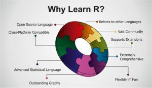 R language Training Course
