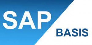 Sap Basis Course