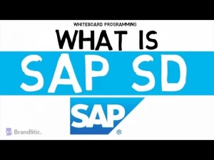 SAP Course