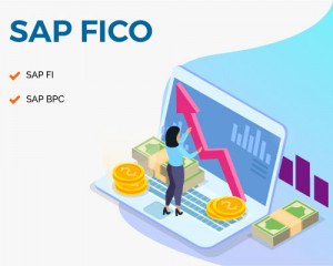 SAP FICO (Financial Ac. & Controlling)