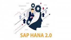 SAP hana