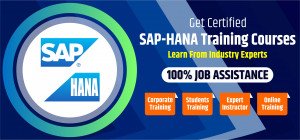 Sap Hana Training Course